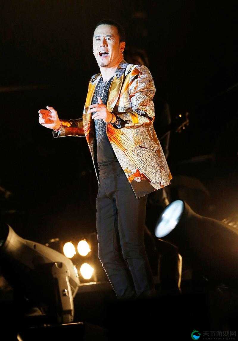杨坤图片大全：精选高清写真与舞台瞬间，感受音乐才子的魅力风采