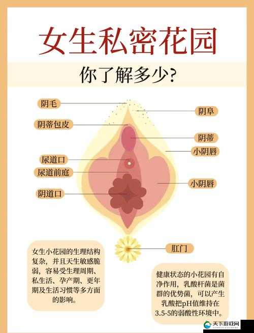 女人私密究竟长什么样呢？探寻其神秘独特之形态女人私密究竟有着怎样的奇妙构造呢？深度揭秘其神秘之处女人私密究竟呈现出怎样的独特模样呢？揭开其神秘面纱探究竟