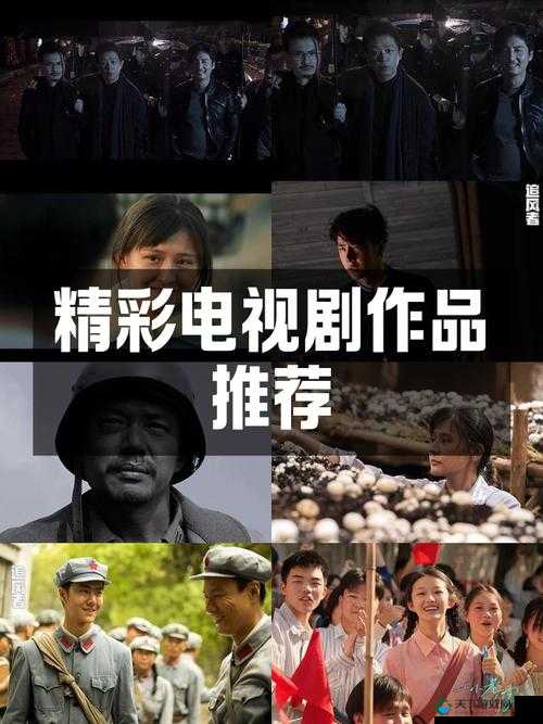 拨萝卜电视剧免费全集在线观看，高清完整版剧情抢先体验，不容错过的精彩剧集