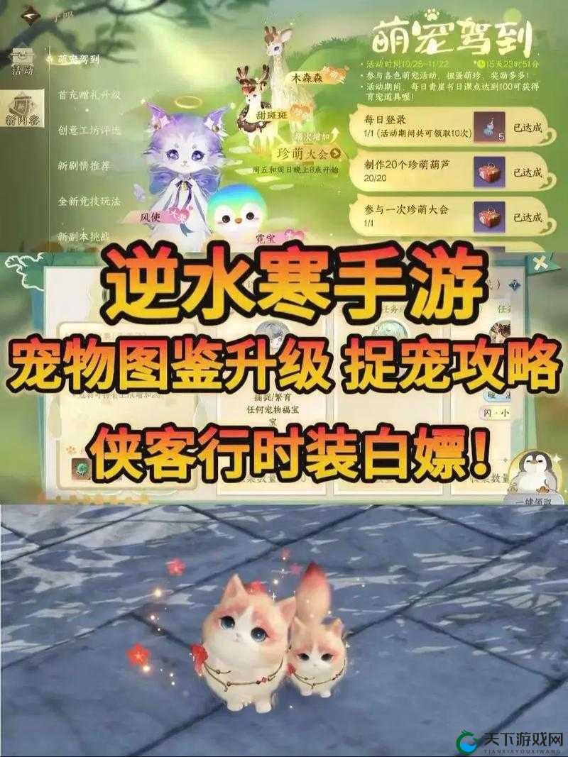 宠物小精灵官方版捉宠大赛抓宠技巧深度解析