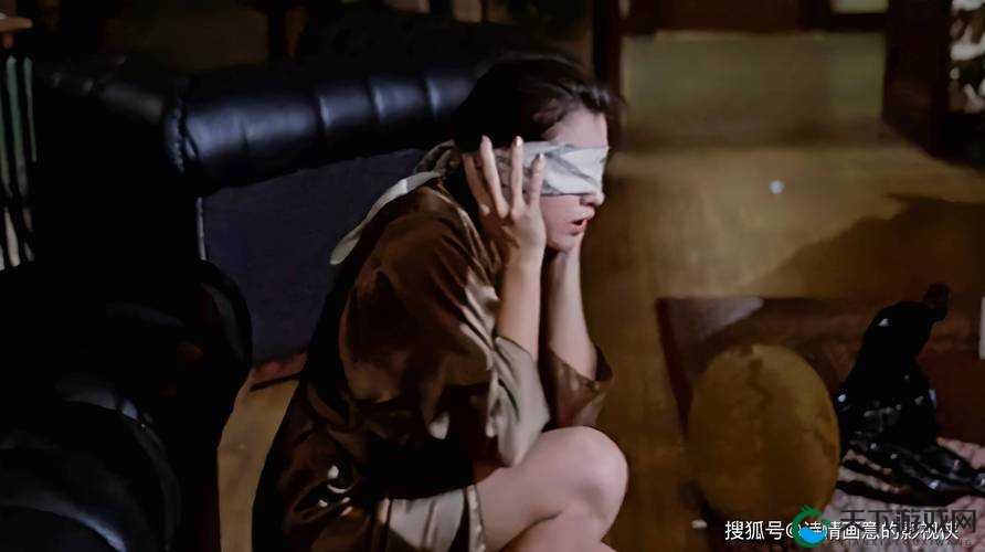 堕落旅馆 3.0 汉化直装版：探索禁忌之爱的神秘世界分析：这个包含了堕落旅馆 3.0 汉化直装版的关键词，同时也使用了疑问句和神秘感来吸引读者的兴趣，符合百度 SEO 优化的要求