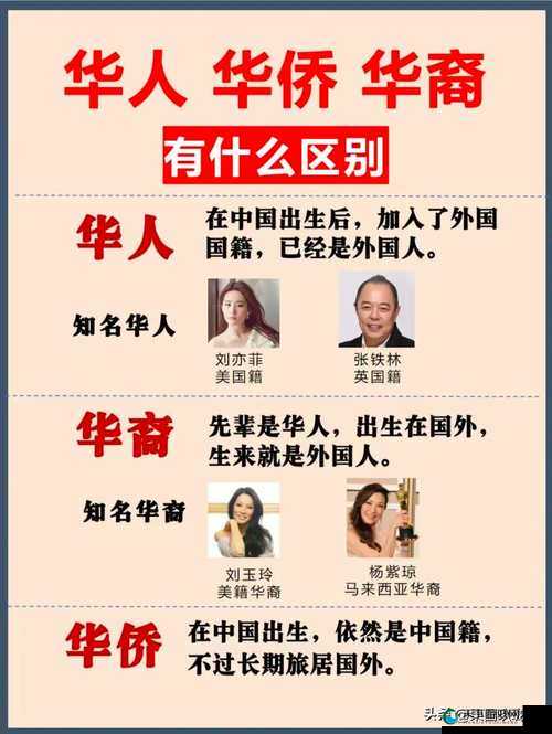 8×8海外华人如何在全球范围内保持文化传承与社区联系？