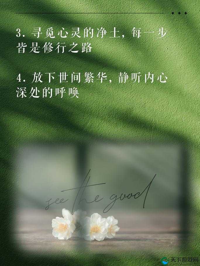 尼姑比喻什么人生？探索出家修行背后的深意与人生哲理