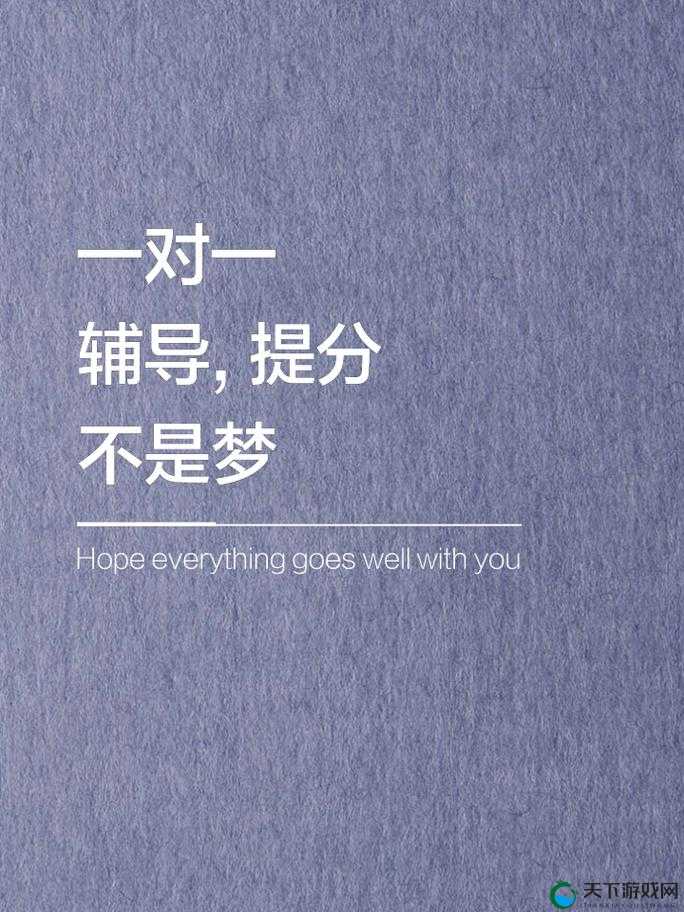 如愿1v1宸棠：深度解析如何实现高效一对一辅导，助力学生全面提升成绩