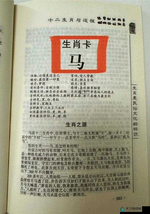 提问：马是如何进行交流的呢？了解马的交流方式大揭秘