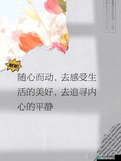 她开始慢迎迎合逍遥人生：如何在忙碌生活中找到内心的平静与自由？