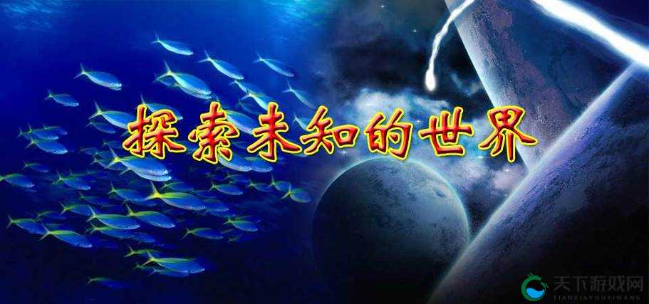 17c 在线视频观看免费播放：探索未知的世界