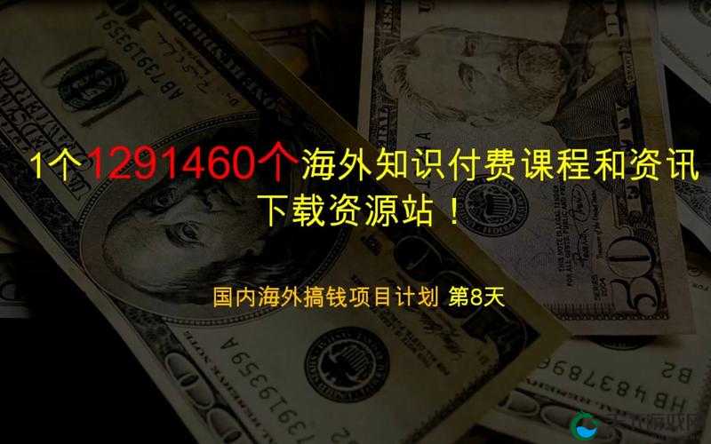 bxbx海外华人免费服务全解析:如何在海外轻松获取免费资源与支持?