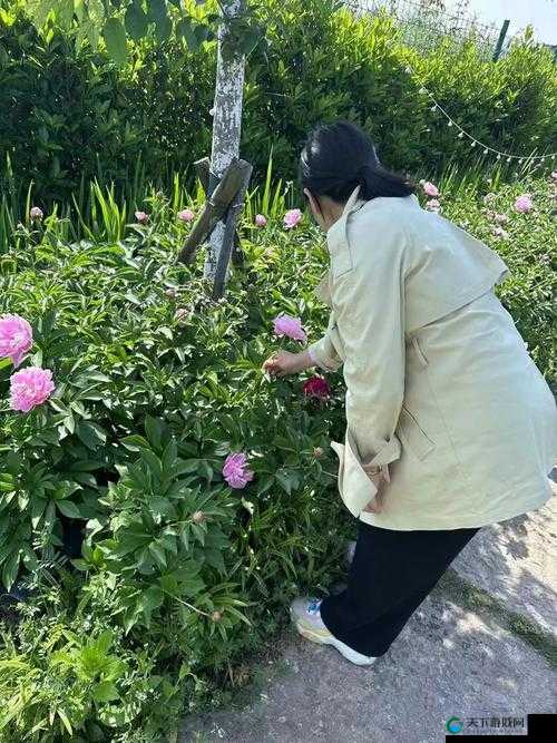 摘花自由XXX视频：揭秘自然与自由的完美结合，探索户外生活的无限魅力
