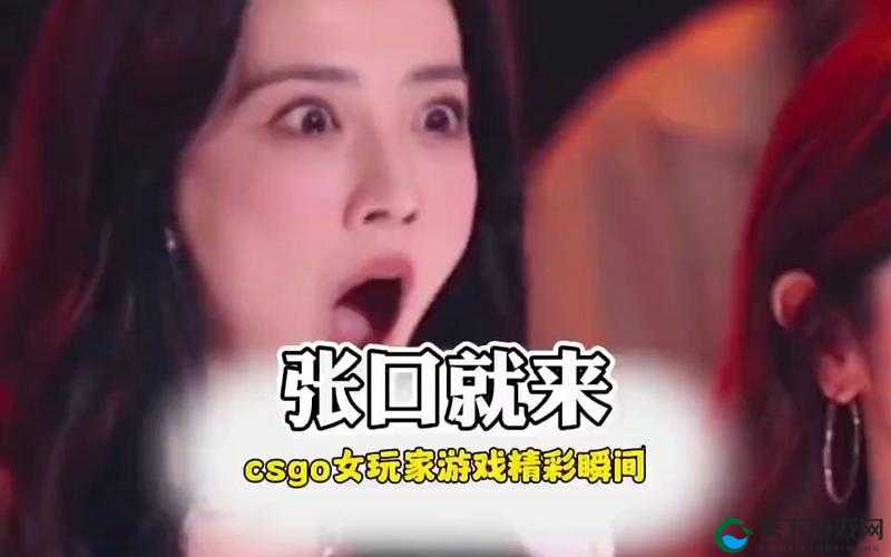暴躁妹妹 csgo 活动大揭秘：你想知道的都在这里