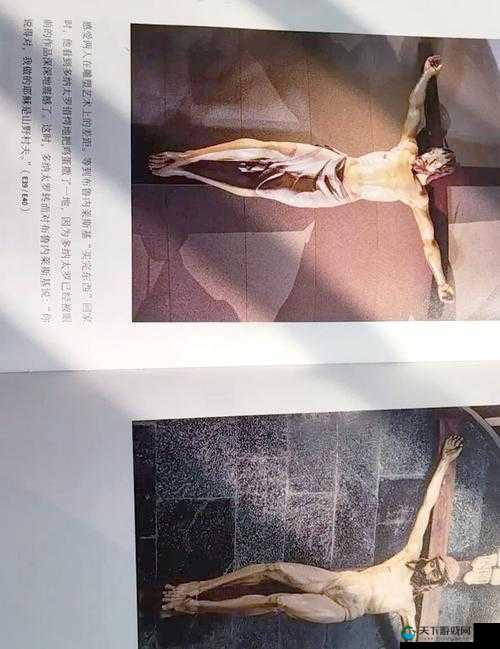 37 大但人文艺术一任份作品究竟有何独特魅力?快来一探究竟