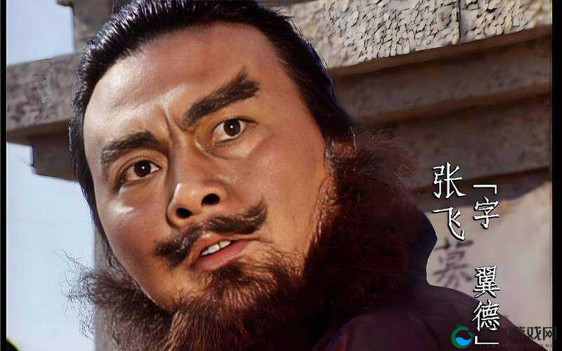 烽火戏诸侯之张飞，你懂这个粗狂的汉子吗？
