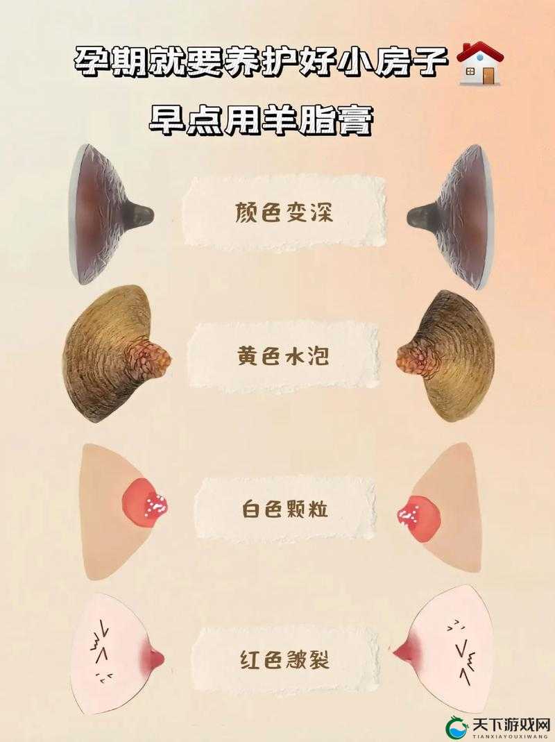 奶头大肉乳床欢：探索现代生活中的健康与舒适新趋势