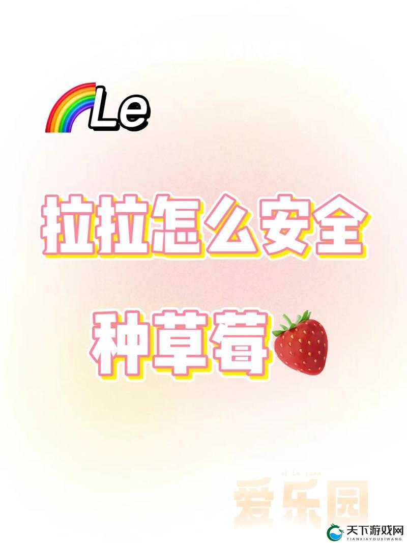 如何通过拉拉 do 法大全提升网站排名？看这篇文章就够了