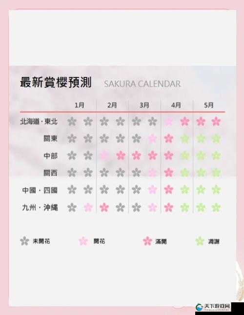 imomoe樱花官方网站用户分享：最新樱花季打卡攻略与摄影技巧大公开