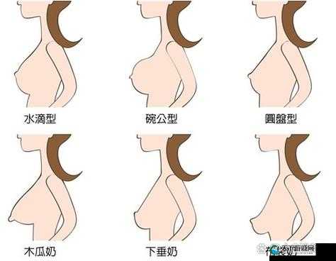 为什么有些女人的乳房特别大？