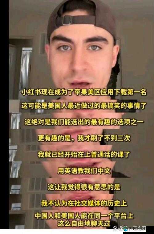 欧美人与禽Z0Z：跨文化交流中的独特现象与影响探析