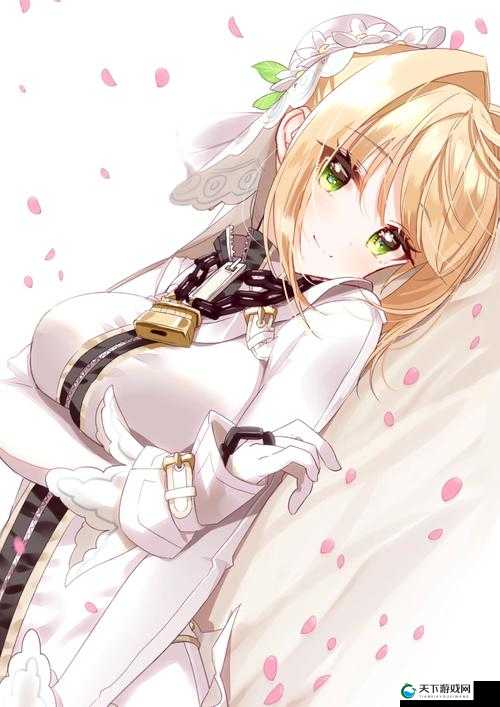 花嫁尼禄篇Fate/GO限定五星英灵战斗力评分