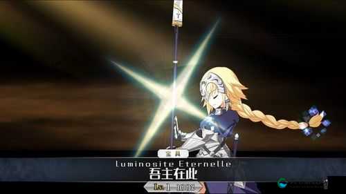 Fate/GO宝具使用心得，从者的必杀全攻略