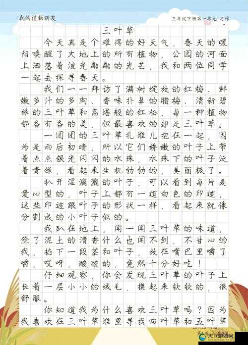 雏鸟幼儿小学生张婉莹三叶草的成长故事：探索自然与学习的奇妙旅程