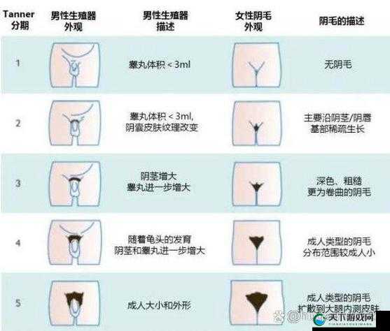 女性二十四种 B 型真人带毛，你了解多少？