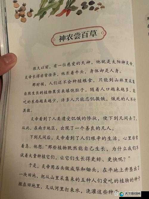 少年封神英雄系列之地皇神农的演变史专题