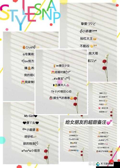 女儿的男朋友中字 ID 大揭秘，到底有何特殊含义？快来一探究竟