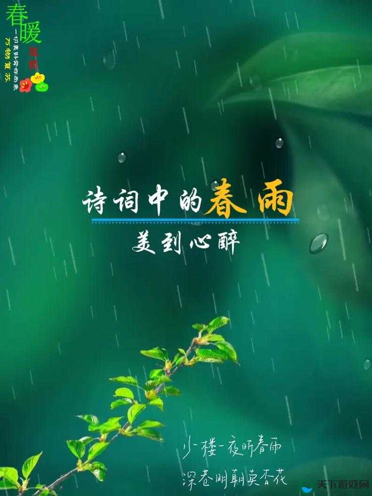 免费下载春雨，尽享优质医疗资源