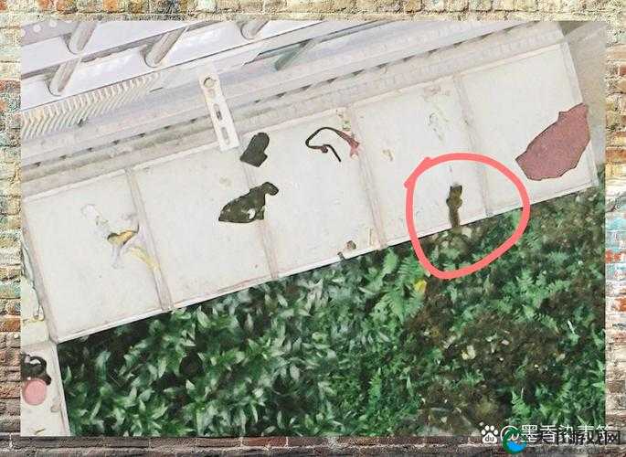 小破房里做羞羞事突然发现有人，惊险瞬间如何应对？真实经历分享与安全建议