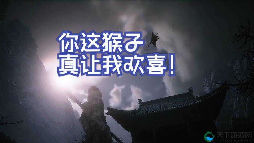 想知道哪里可以免费观看二人生猴子全集？这里有答案等你