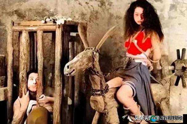 揭秘罕见现象：女人和公骡子交性视频背后的真相与科学解释