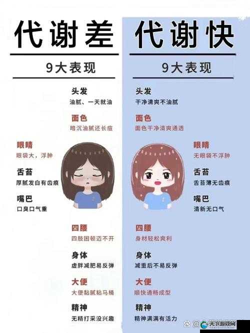 为什么 Free 性 ZoZ0ZC 交体的代谢生成如此重要？