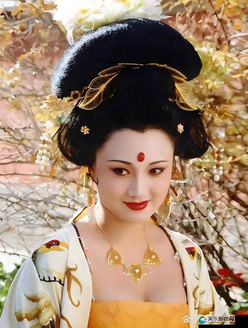 杨贵妃演员表：颜值与演技并存的阵容