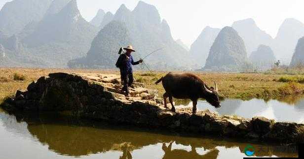 亚洲精品无码一区二区三区水牛，为何备受关注？