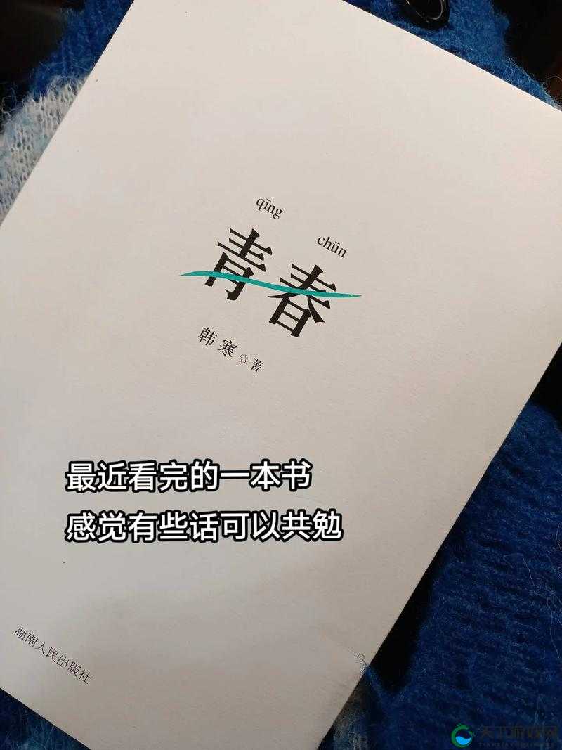 ygone8aqq：一场致敬韩寒的文学之旅，探索青春与梦想的深度对话