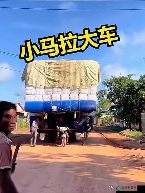 小马拉车小男孩原视频：感人瞬间，乡村孩子的坚韧与希望