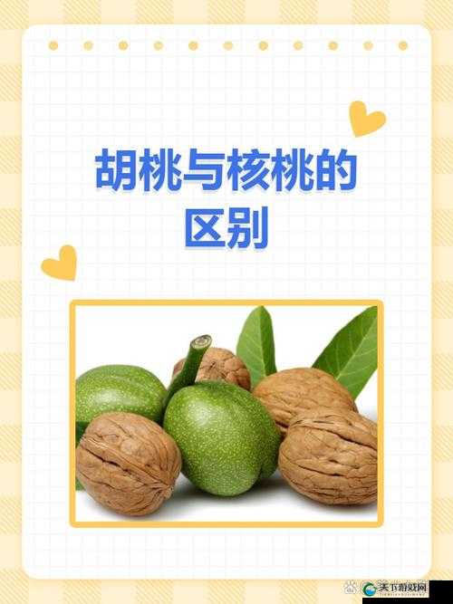 胡桃和核桃的区别大揭秘来看详细图片对比分析，你知道多少？