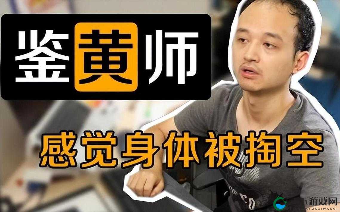 鉴黄师轻质量版：揭秘网络内容审核背后的故事与挑战，了解这一职业的日常与责任