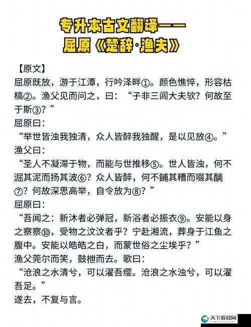 渔夫的荒野史记 7 免费观看中文哪里有？如何轻松找到并观看？