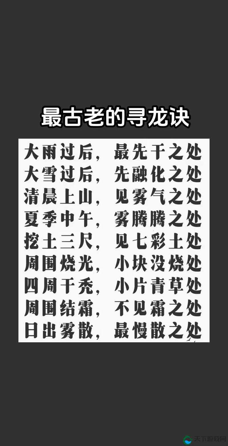 寻龙改命，洛书分金，探墓风云中的职业奥秘与视频解析