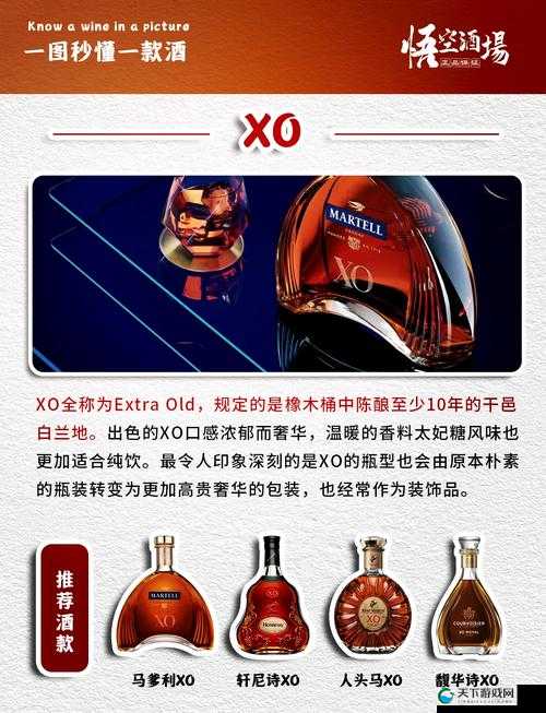 美国两性XO到底有着怎样的特点和影响？深入探究美国两性XO现象及背后的故事