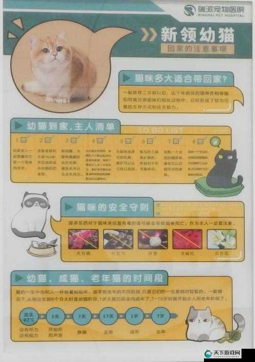 如果的世界宠物获取深度解析，打破误解，揭秘隐藏逻辑