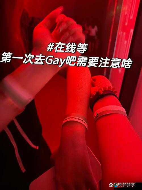 GayTubeXXXX小蓝是什么？为何它在网络上引起广泛关注与讨论？