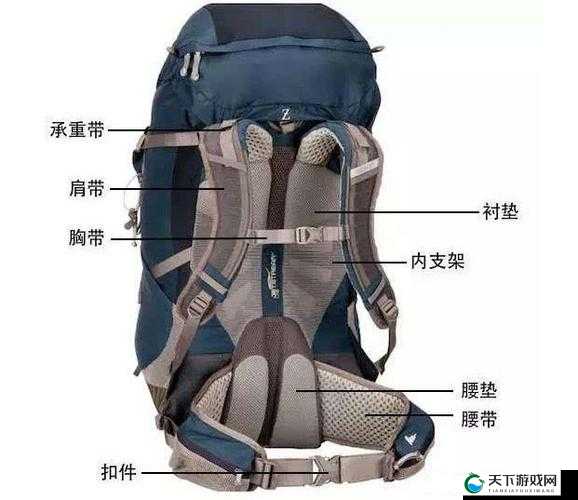 背包系统，从基础概念到复杂应用的全面解析