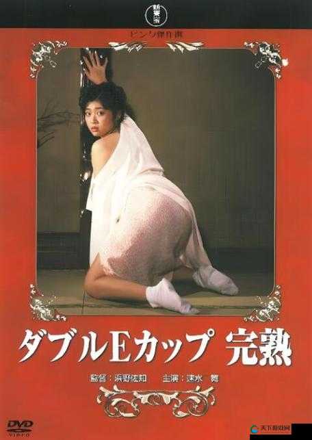 日本XXXX16：探寻日本成年人影片的魅力与奥秘