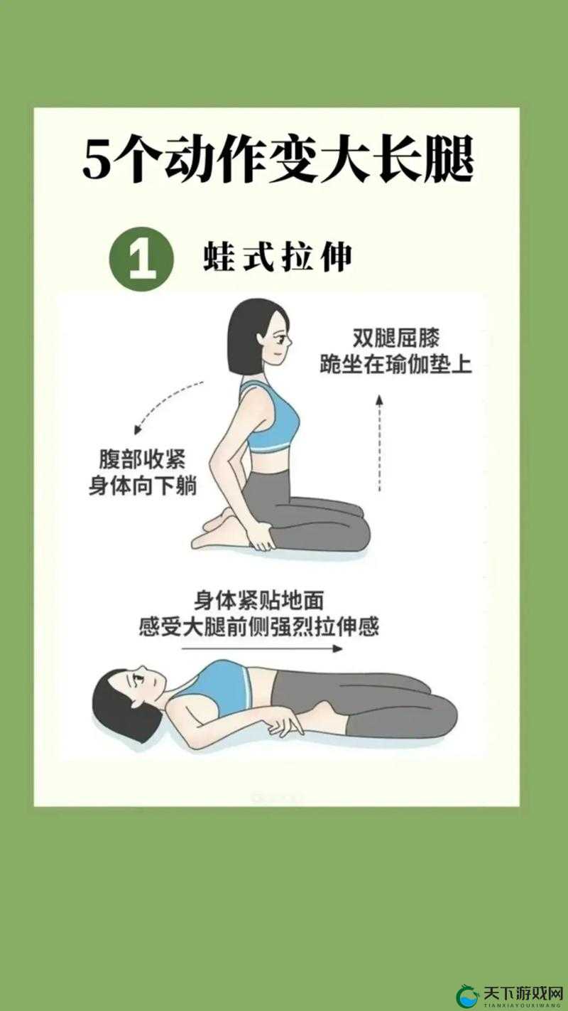 芭芭拉腿法娴熟大揭秘：如何通过科学训练提升腿部力量与灵活性？