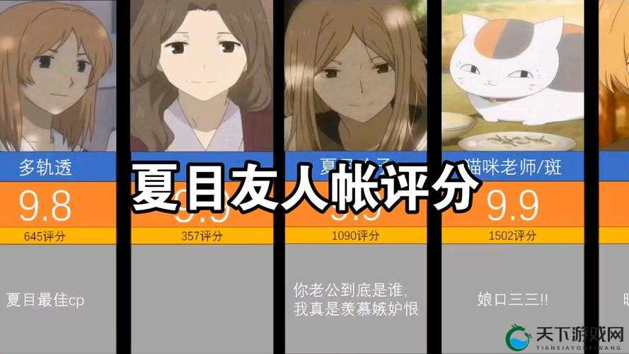 夏目的美丽日记深度攻略，底层逻辑解析与实战操作映射