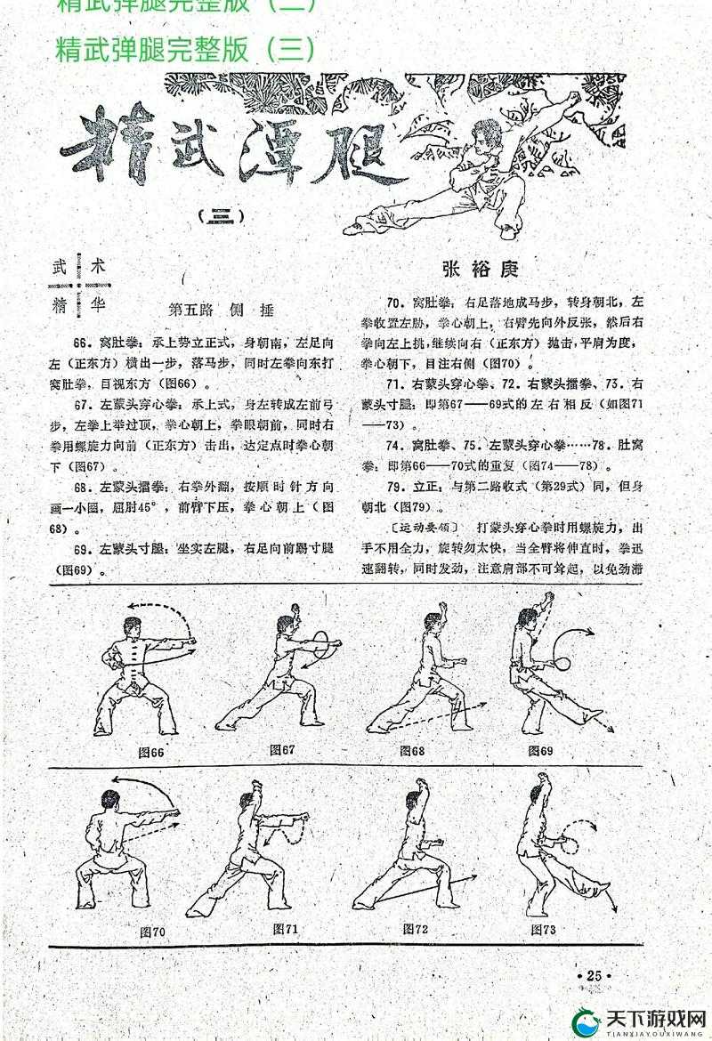 黑土腿法娴熟脚法精湛视频教学：掌握传统武术精髓的实用技巧与步骤详解