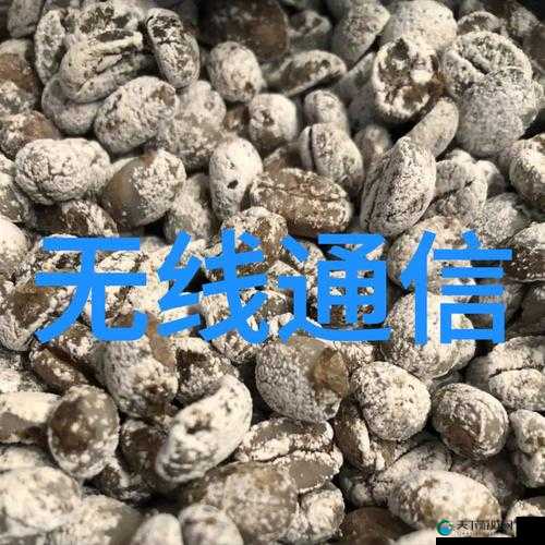 2023 年 Gy 钙站有哪些独特之处呢关于 2023Gy 钙站其优势体现在哪些方面呢2023Gy 钙站备受关注的原因是什么呢探寻 2023Gy 钙站的核心竞争力在哪里2023Gy 钙站有哪些令人惊喜的亮点呢剖析 2023Gy 钙站为何能脱颖而出2023Gy 钙站的发展趋势会是怎样的呢探索 2023Gy 钙站的创新之处在哪里2023Gy 钙站的用户体验如何呢