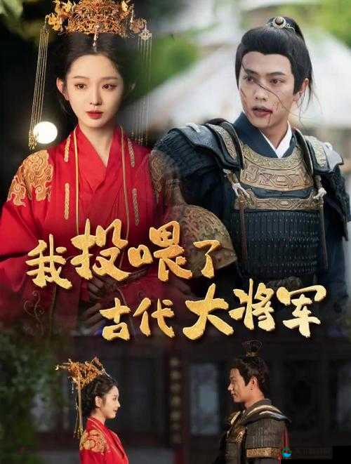 三年古代片大全免费观看，哪里可以找到完整资源？快来一探究竟